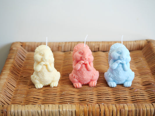 Bougie Artisanale "Écureuil Mystique" – Charme Forestier & Lumière Douce