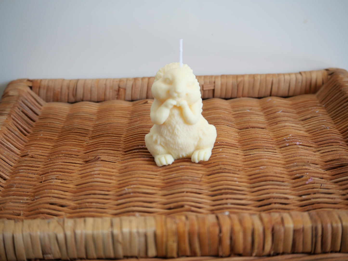 Bougie Artisanale "Écureuil Mystique" – Charme Forestier & Lumière Douce